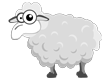 ... vom Schaf